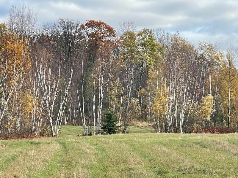 TBD Loon Lake Rd, Crosby, MN 56441