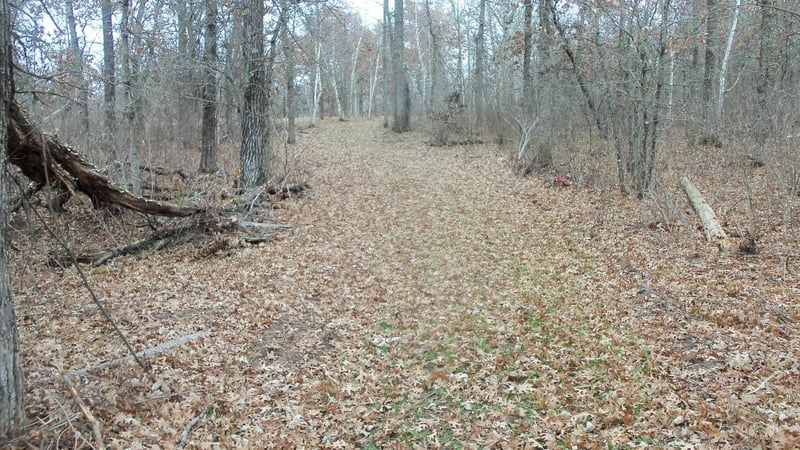Lot 4 300th St, Saint Croix Falls, WI 54024