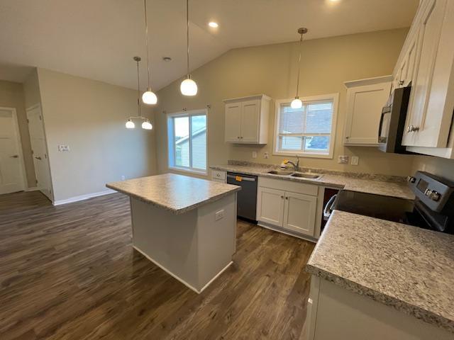 890 Tall Grass Ct, Wanamingo, MN 55983
