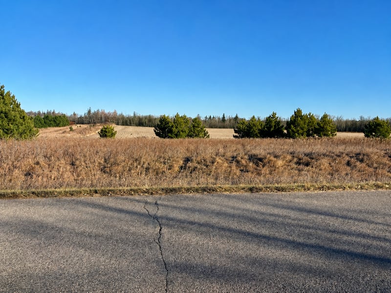 TBD Leaf River Rd, Ottertail, MN 56571