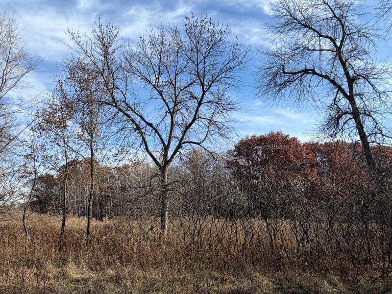 XXXX Xerus St NW, Zimmerman, MN 55398