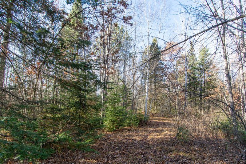 TBD Lot 2 Frustration Ln, Park Rapids, MN 56470