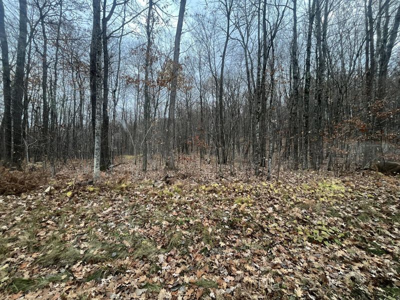 TBD Ham Lake Rd, Stone Lake, WI 54876