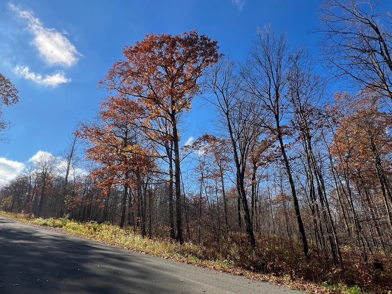 Lot 5 Breakneck Rd, Birchwood, WI 54817