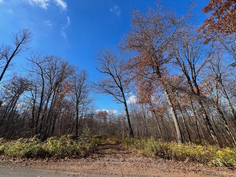 Lot 5 Breakneck Rd, Birchwood, WI 54817