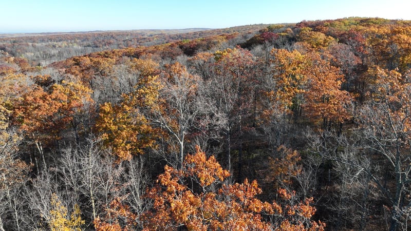 Lot 5 Breakneck Rd, Birchwood, WI 54817
