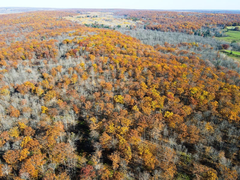 Lot 5 Breakneck Rd, Birchwood, WI 54817