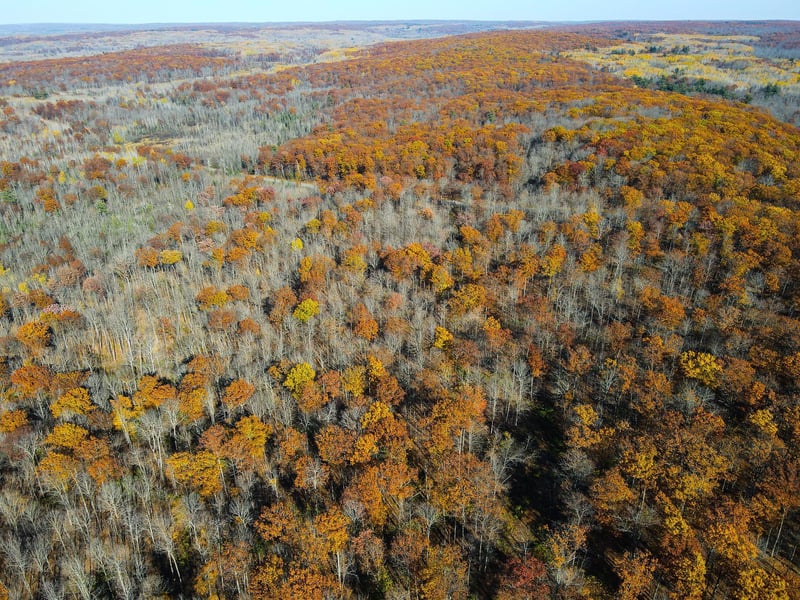 Lot 6 Breakneck Rd, Birchwood, WI 54817