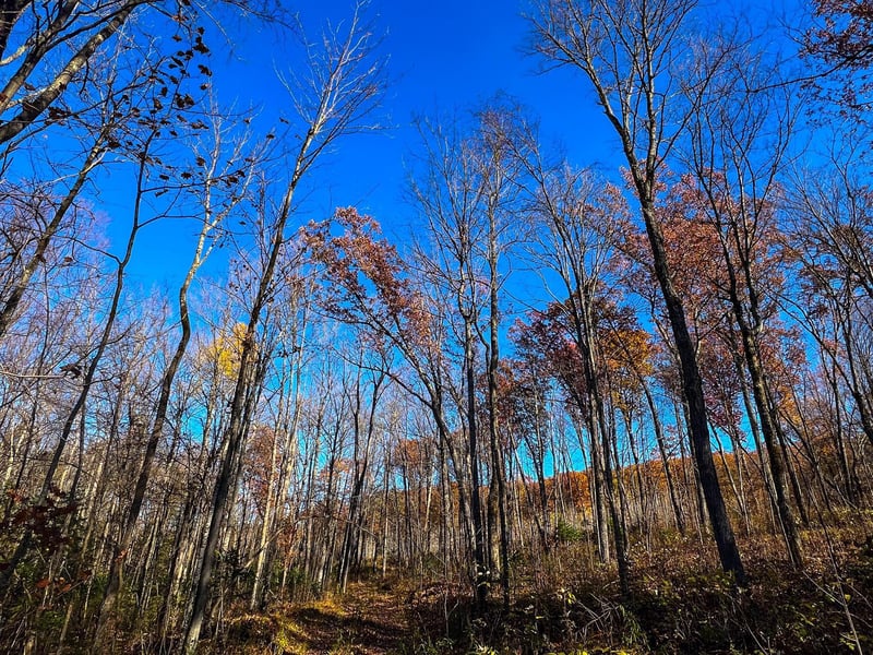 Lot 7 - 8 Breakneck Rd, Birchwood, WI 54817