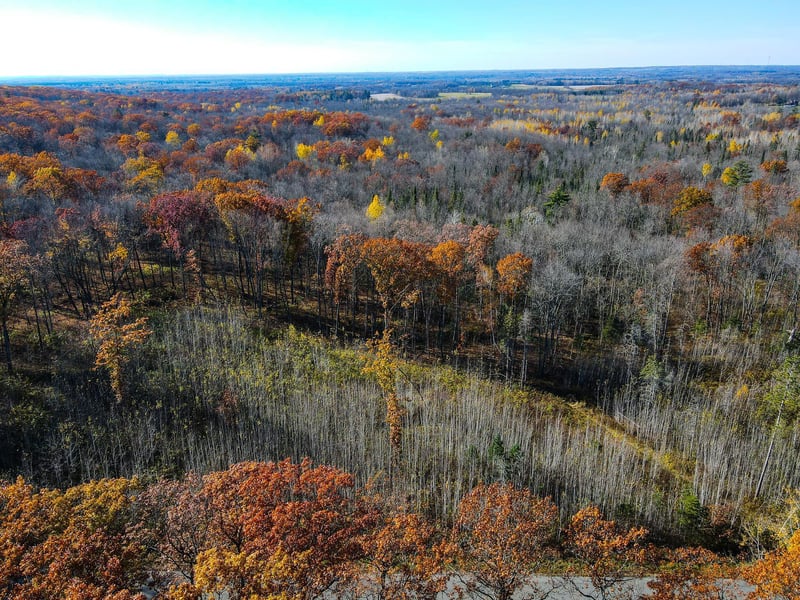 Lot 7 - 8 Breakneck Rd, Birchwood, WI 54817