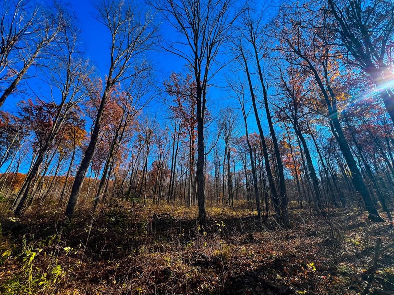 Lot 7 - 8 Breakneck Rd, Birchwood, WI 54817