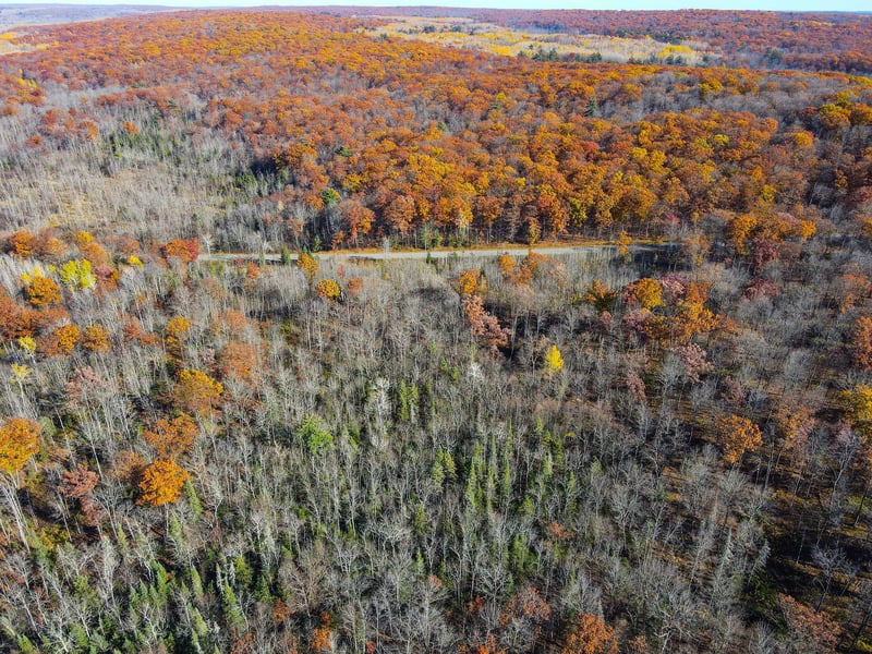 Lot 7 - 8 Breakneck Rd, Birchwood, WI 54817