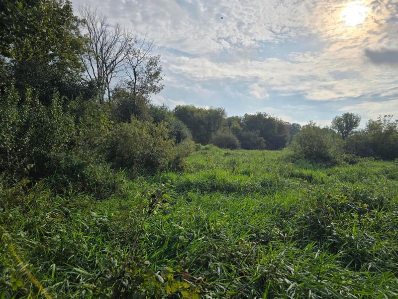 TBD Tbd, Ham Lake, MN 55304