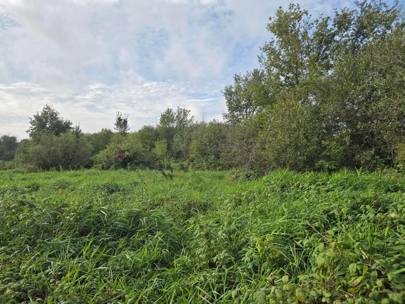 TBD Tbd, Ham Lake, MN 55304