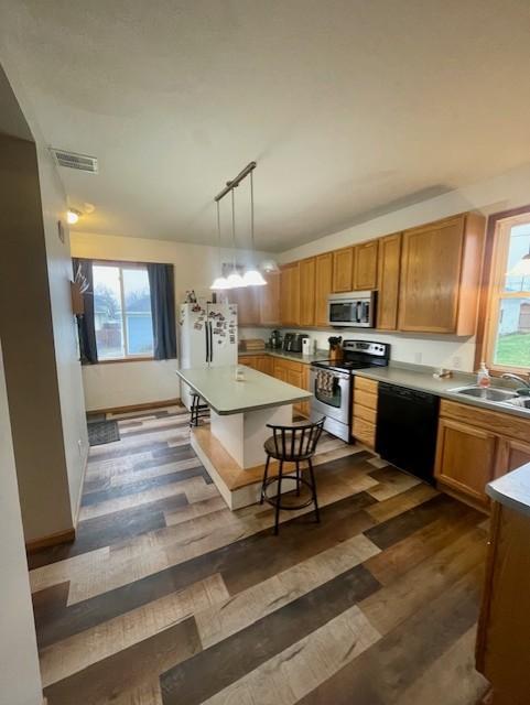 395 Williams St, Lewiston, MN 55952