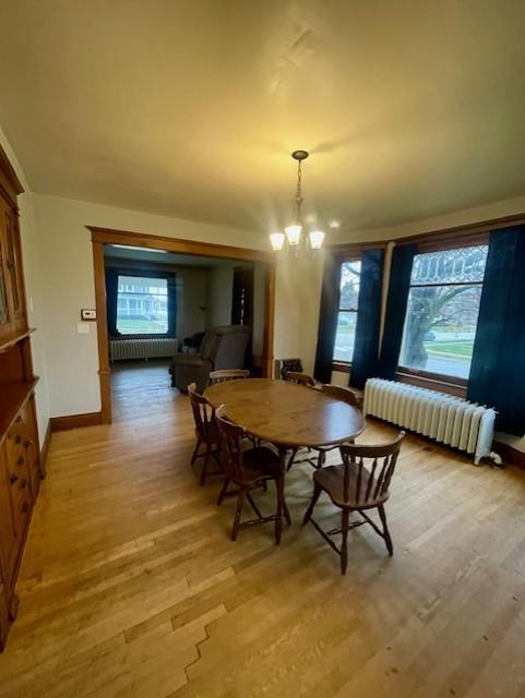 395 Williams St, Lewiston, MN 55952