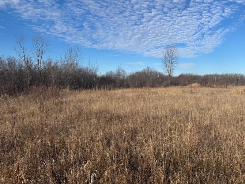 TBD Ose Rd Nw, Grygla, MN 56727