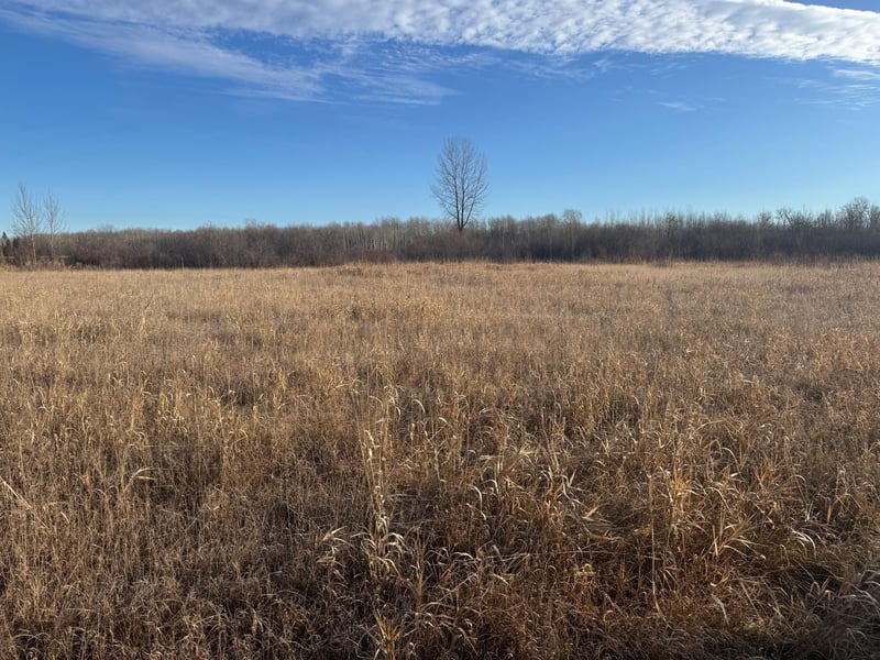TBD Ose Rd Nw, Grygla, MN 56727