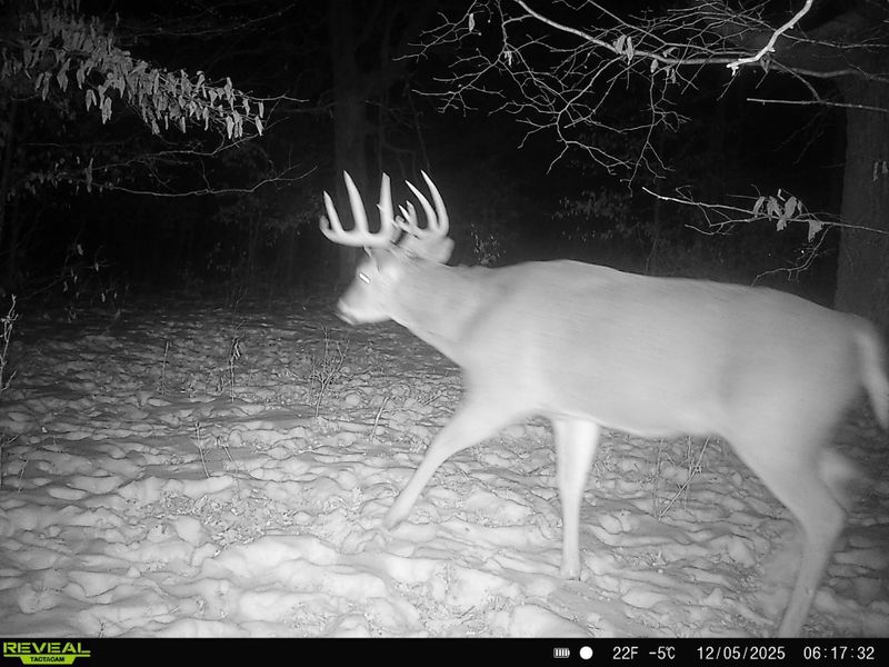 TBD 294th St, Red Eye Twp, MN 56477