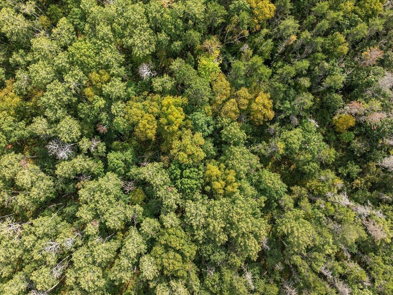 Lot J Sandbar Ln, Merrifield, MN 56465