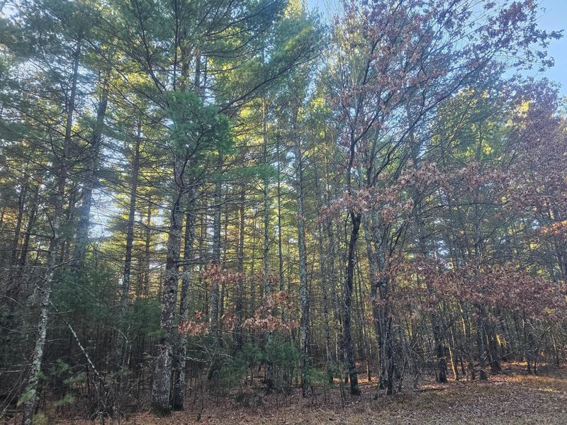 xxx Harmon Ave E, Grantsburg, WI 54840