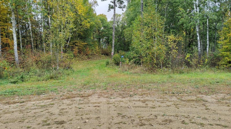 28515 Fools Lake Dr, Park Rapids, MN 56470