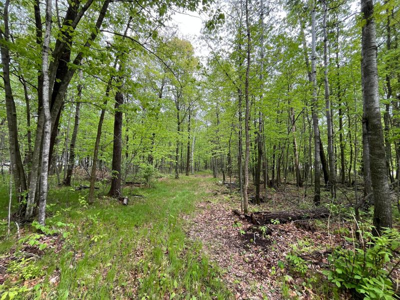 10583 E Shore Dr, Merrifield, MN 56465