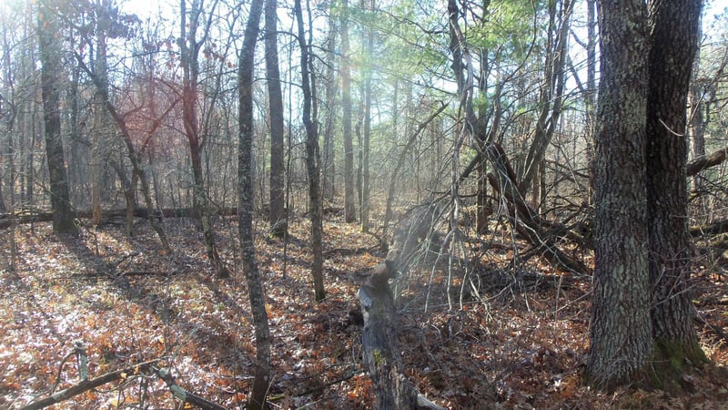 Lot 3 Ferry Rd, Grantsburg, WI 54840