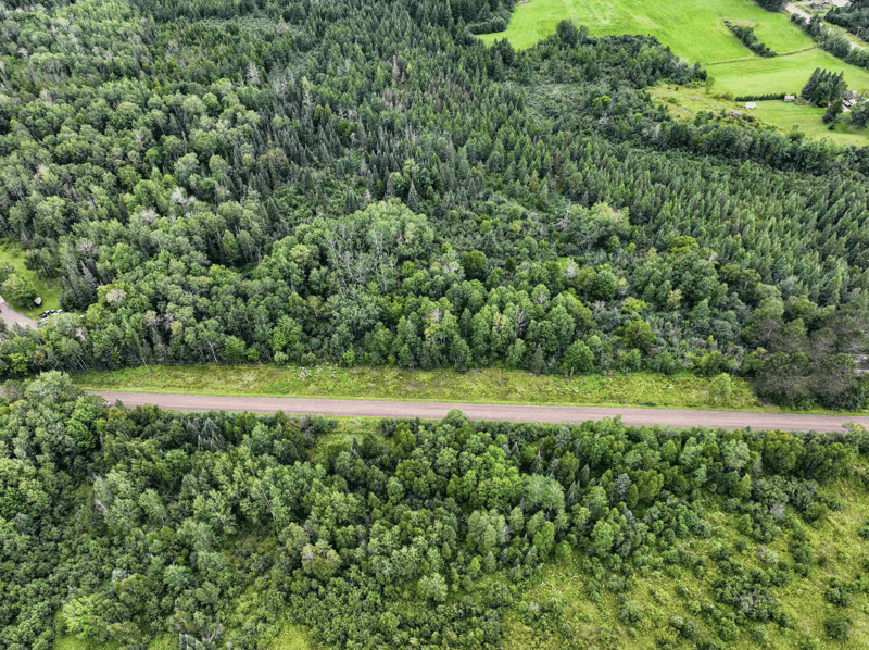 XXXX Lindrose Rd, Cloquet, MN 55720