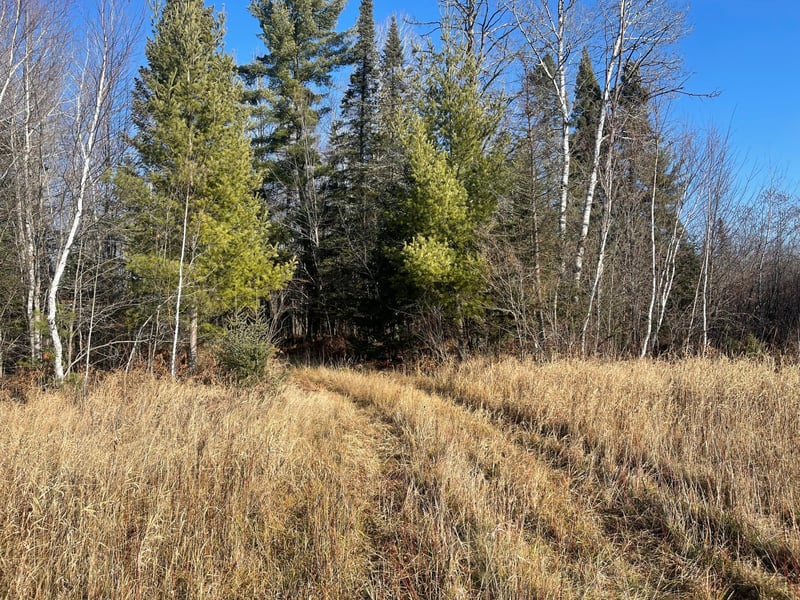 14730 Cr 25, Wawina, MN 55736