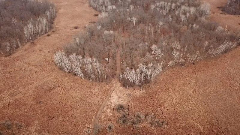 xxxx 73rd St, Pierz, MN 56338