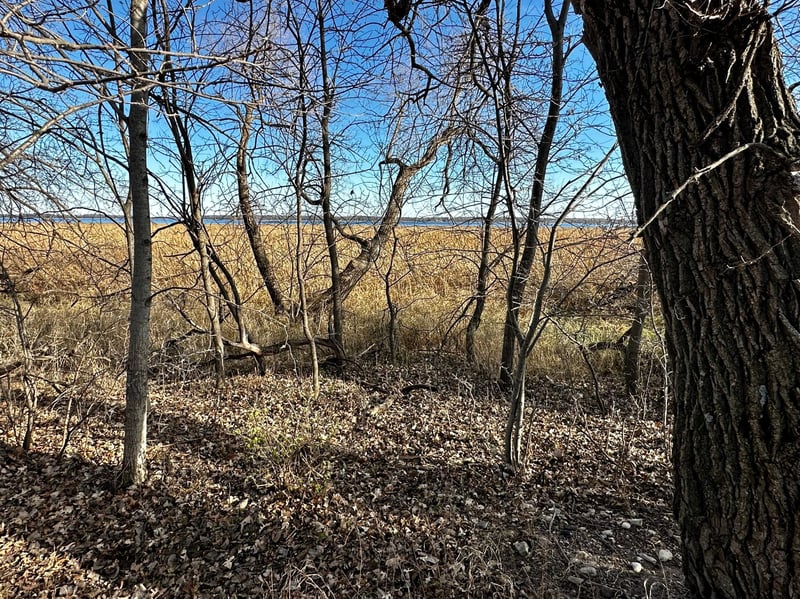 TBD Hummingbird Way, Alexandria, MN 56308