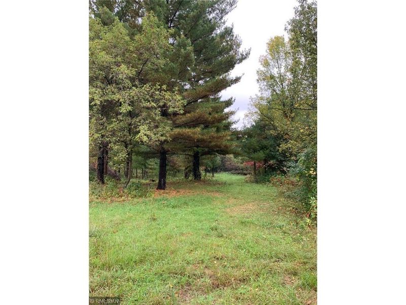 TBD Shoreline Dr, Little Falls, MN 56345