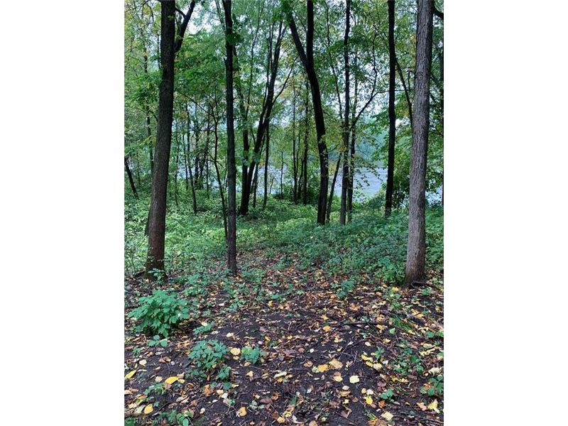 TBD Shoreline Dr, Little Falls, MN 56345
