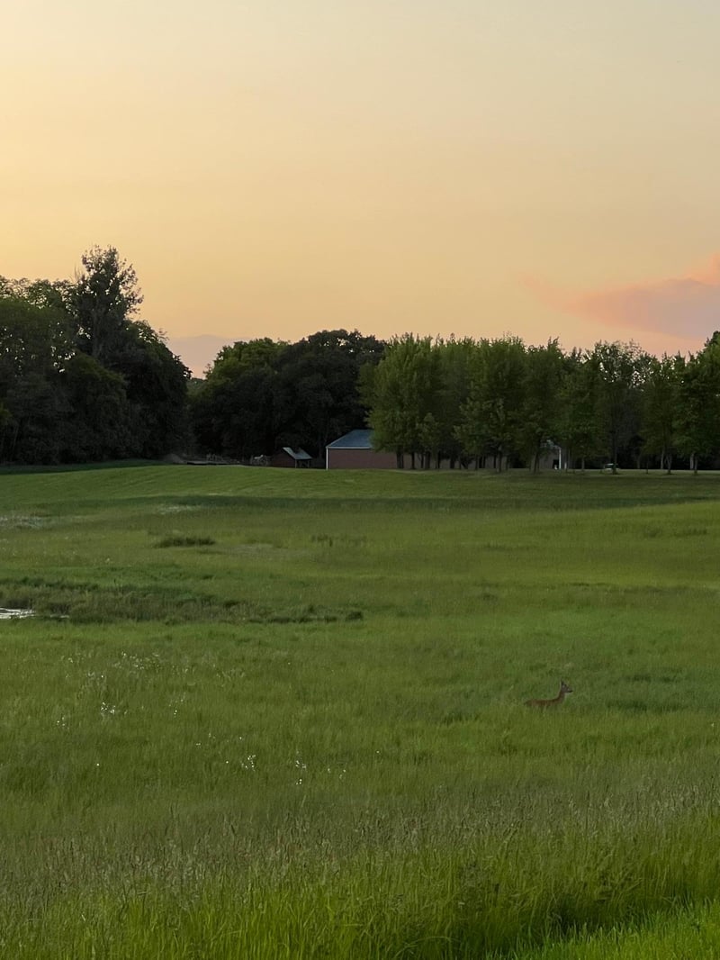 XXXX 280th St E, Webster, MN 55088