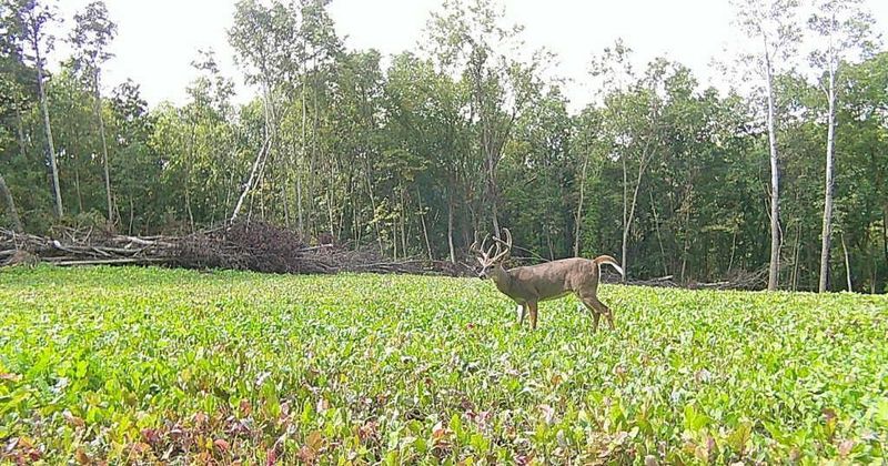 TBD East Burns Valley Rd, Winona, MN 55987