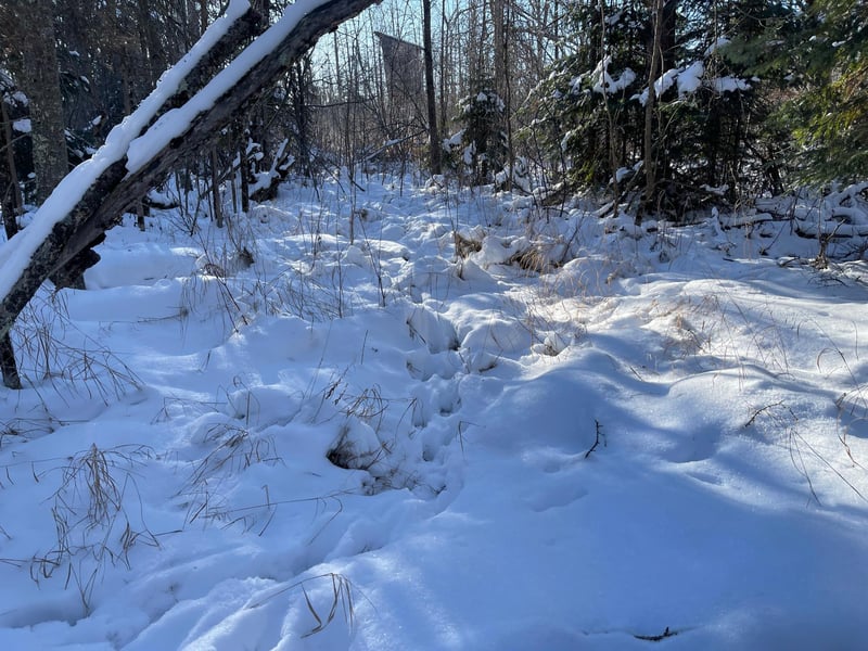 25 Itasca County 25, Wawina, MN 55736