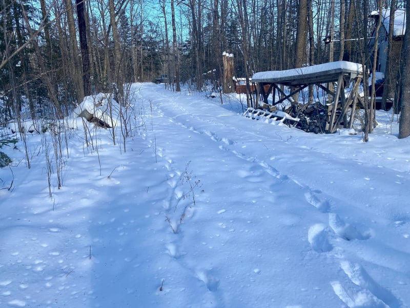 6119 County Rd 4 Ne, Remer, MN 56672