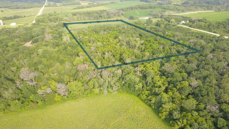 TBD NW New Haven Rd, Oronoco, MN 55960