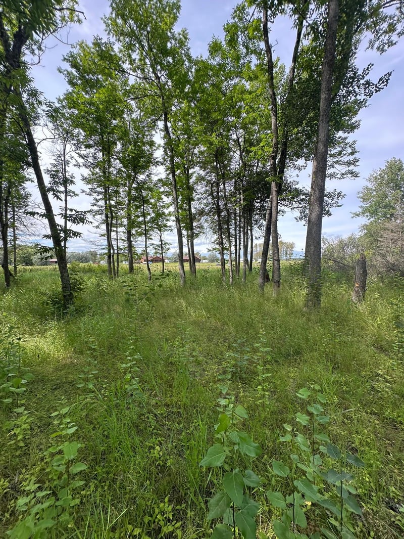 17415 E Pine Dr NW, Angle Inlet, MN 56711
