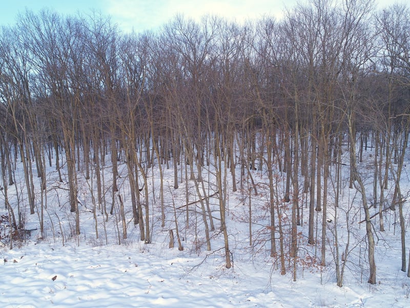 158AC 110th St, Frederic, WI 54837