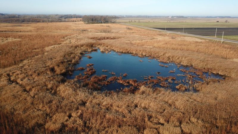 TBD Walden Ave, Hutchinson, MN 55350