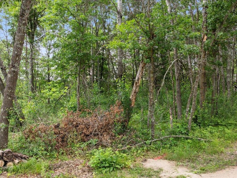 TBD E Cree Bay Cir, Pequot Lakes, MN 56472