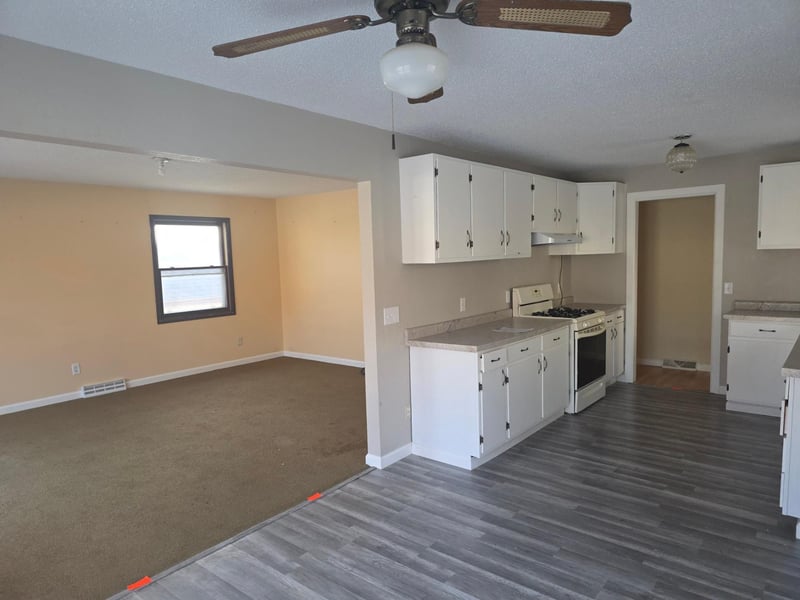 118 N O Connell Ave, Springfield, MN 56087