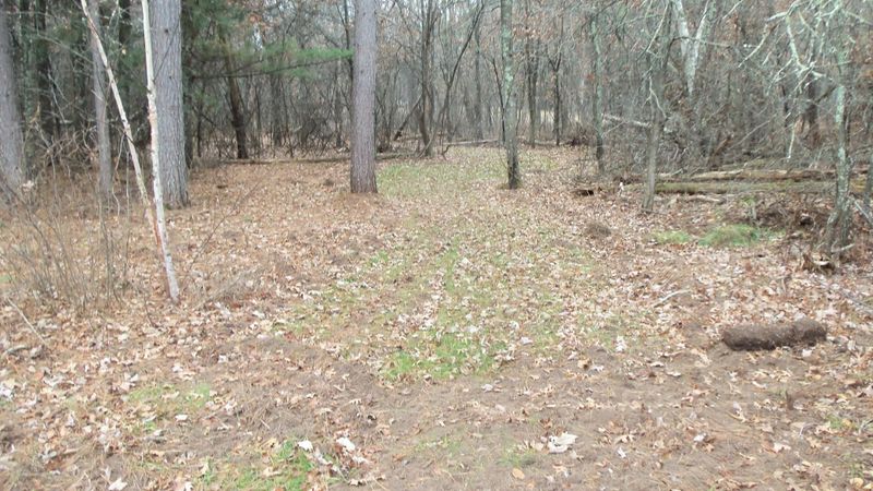 13787 Canute Creek Trl, Grantsburg, WI 54840
