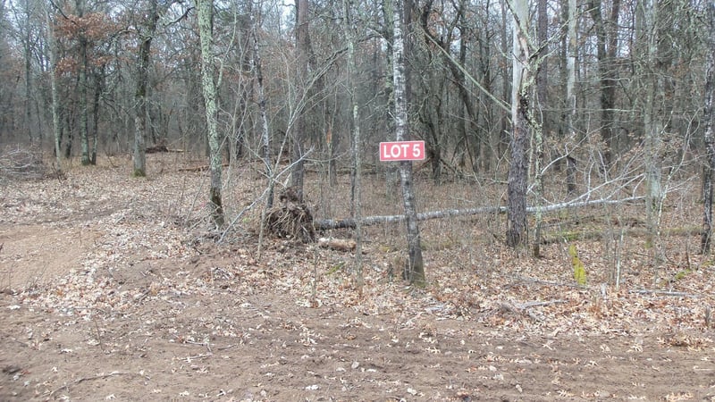 Lot 5 Canute Creek Trl, Grantsburg, WI 54840