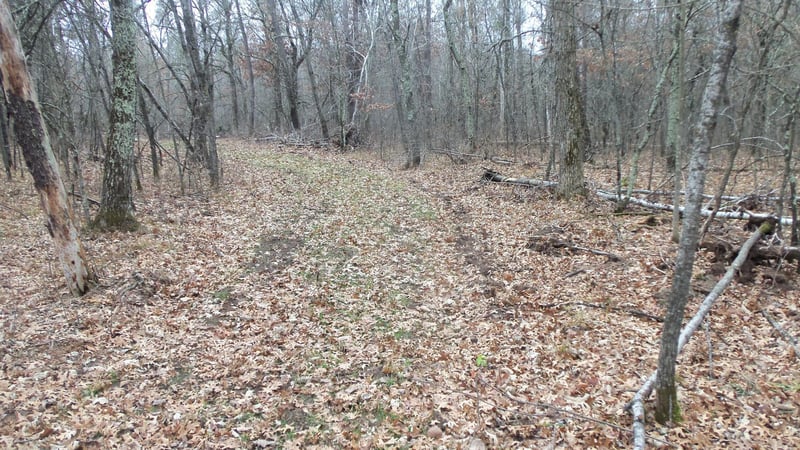 Lot 5 Canute Creek Trl, Grantsburg, WI 54840