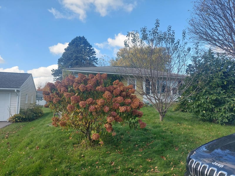 309 N Badger St, Caledonia, MN 55921