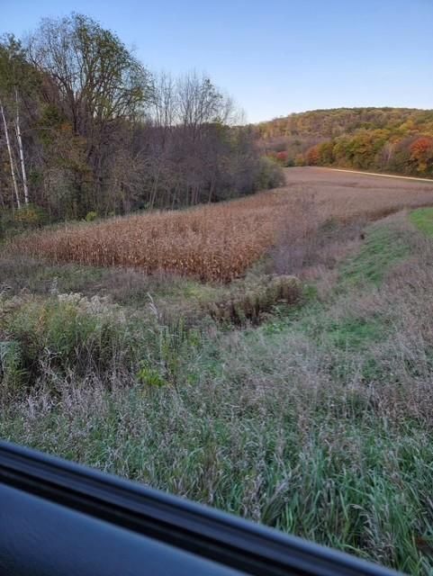 XXXXX County 45 Blvd, Red Wing, MN 55066