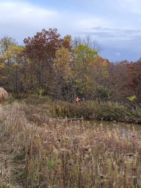 XXXXX County 45 Blvd, Red Wing, MN 55066